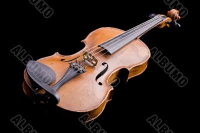 violin