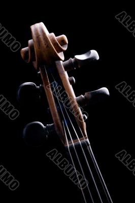 violin