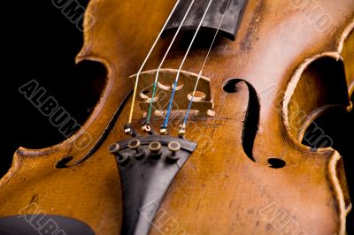 violin