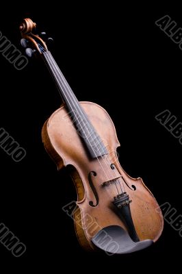 violin