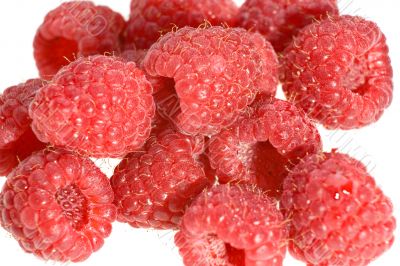 fresh red raspberries