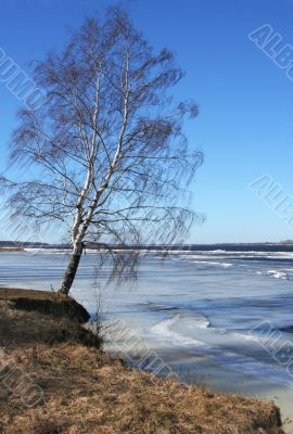 Spring