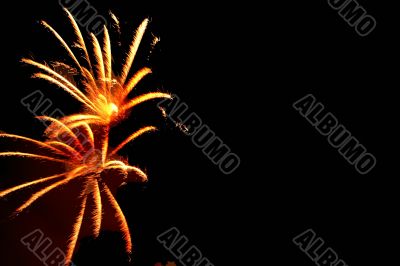 Firework