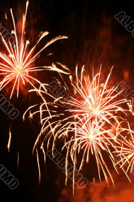 Firework