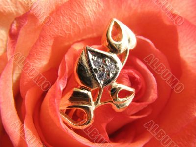 Rose with golden jewelry