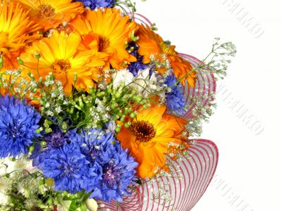 Vibrant flowers