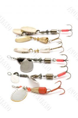 Set of minnow on white