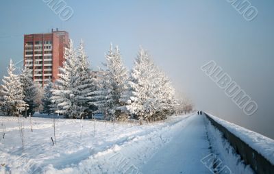 Snow-covered path