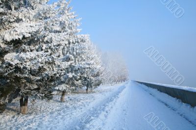 Snow-covered path