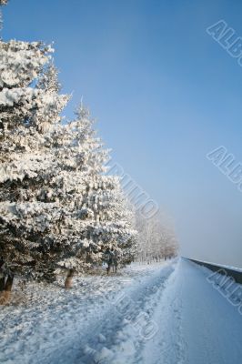 Snow-covered path