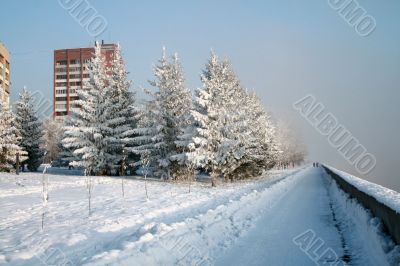 Snow-covered path