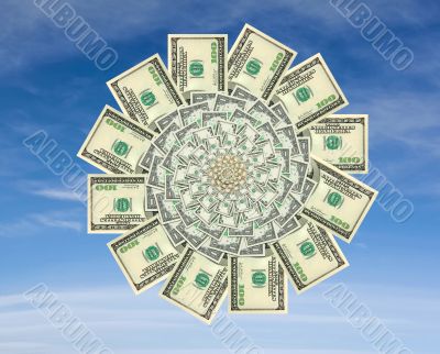 Money flower on a blue sky background