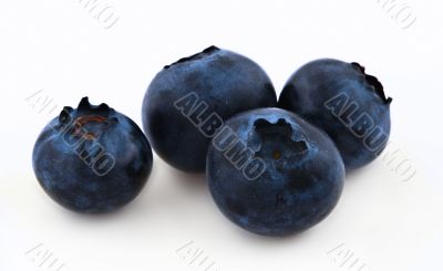 blueberries on white