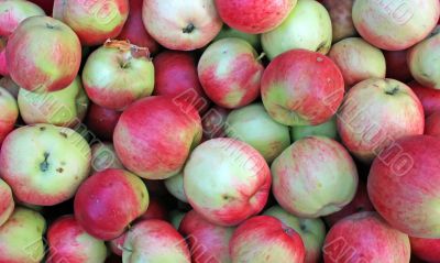 Apples