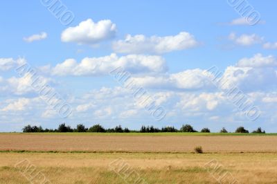 Moorland