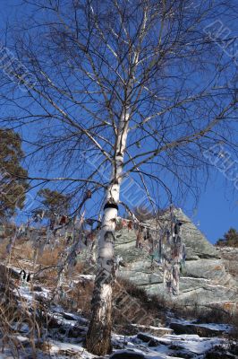Altai Mountain with snow in