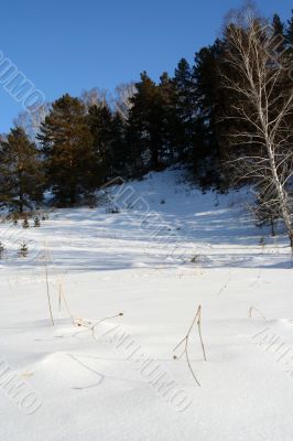 Altai Mountain with snow in