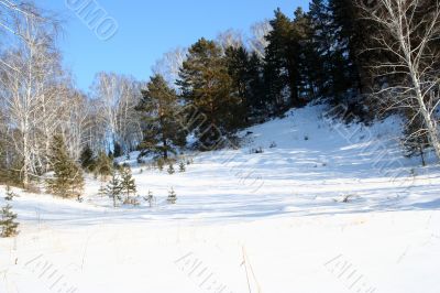 Altai Mountain with snow in