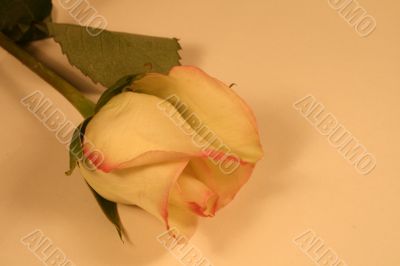 Valentines Day