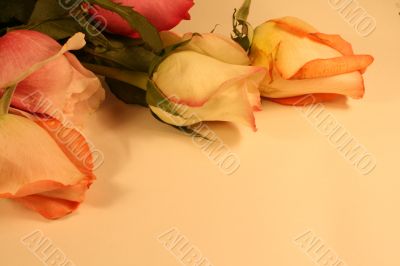 Valentines Day