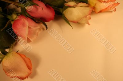 Valentines Day
