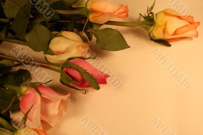Valentines Day