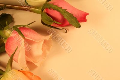 Valentines Day