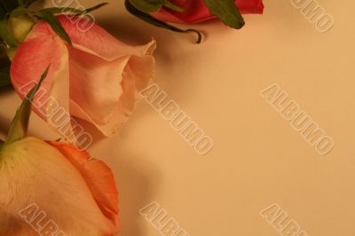 Valentines Day