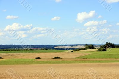 Landscape From Black Forest