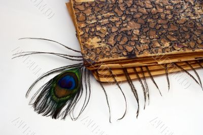 old book and bookmark