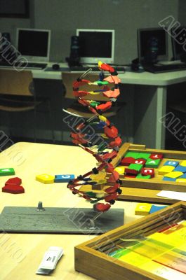 DNA