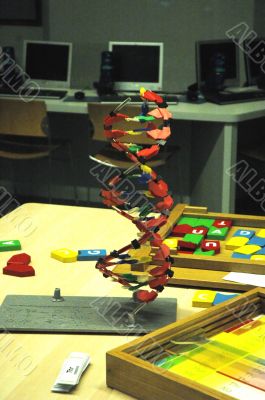 DNA