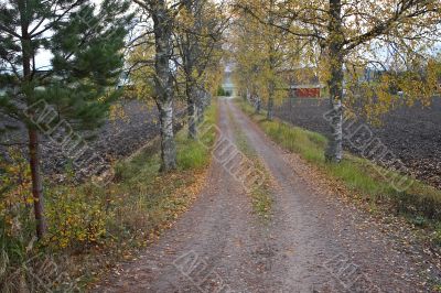 rural beautiful road