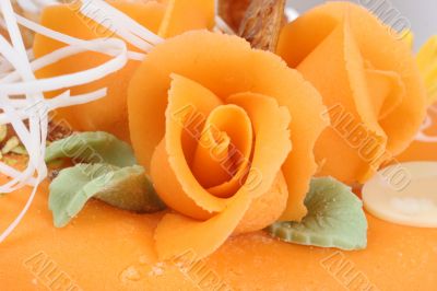 orange rose