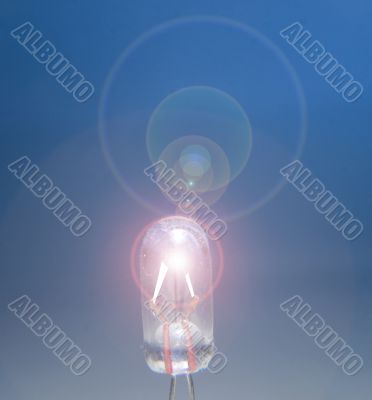 Bulb