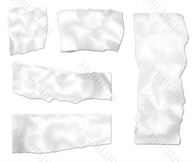 Ripped Paper Collection