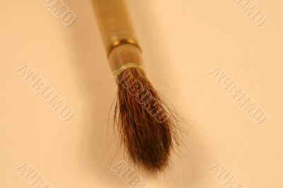 paint Brush