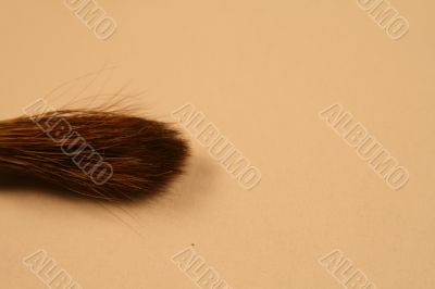 paint Brush