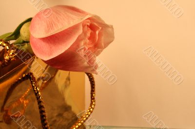 Valentine Border Design