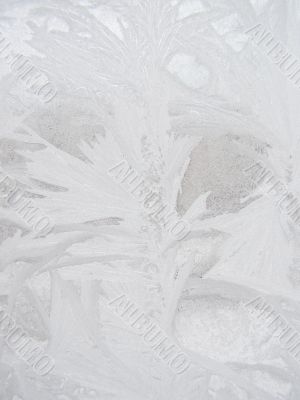 Frost winter window