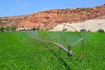 Redrock Farm 6