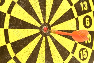 Closeup Dartboard