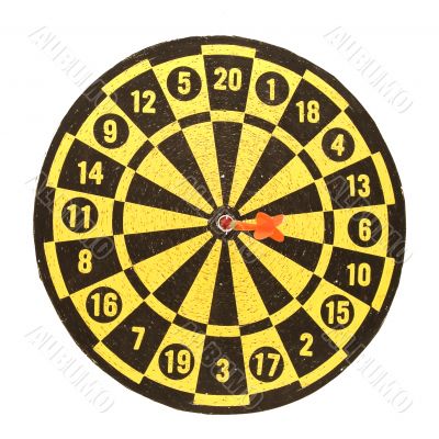 Dart Board
