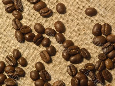 coffe grain