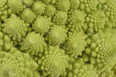 romanesco cauliflower background