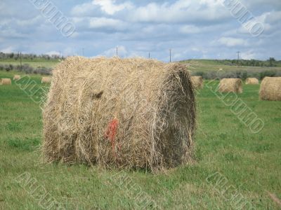 Bales of Hay