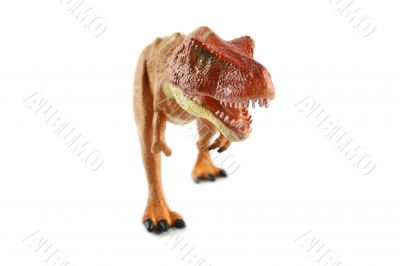 T Rex