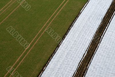 Field From Above