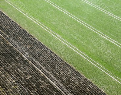 Field From Above