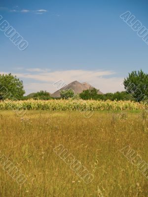 Rural lanscape